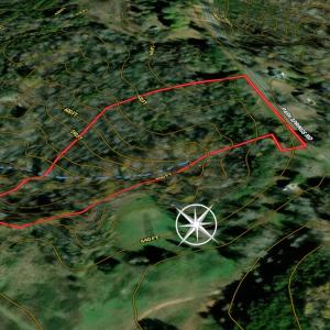 Photo #22 of Off of Park Springs Road, Ruffin, NC 7.2 acres