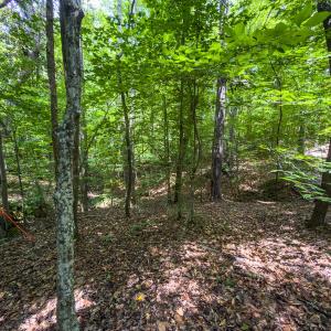 Photo #26 of Off of Park Springs Road, Ruffin, NC 7.2 acres