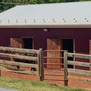Photo #23 of 2754 Horseshoe Bend Rd, Moneta, VA 111.2 acres