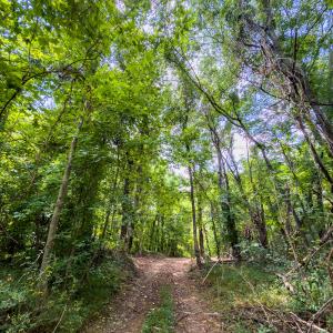 Photo #15 of Off of Park Springs Road, Ruffin, NC 7.5 acres