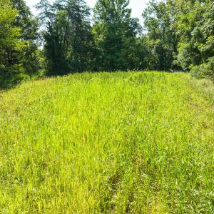 Photo #22 of Off of Park Springs Road, Ruffin, NC 7.5 acres