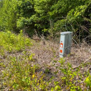 Photo #24 of Off of Park Springs Road, Ruffin, NC 7.5 acres