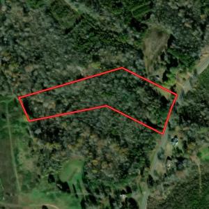 Photo #30 of Off of Park Springs Road, Ruffin, NC 7.5 acres