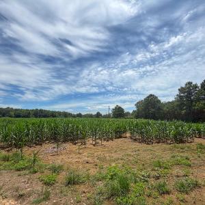 Photo #13 of 1.45 ac Off Titan Roberts Rd, Erwin, NC 1.5 acres