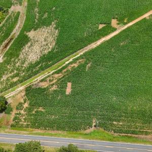 Photo #21 of 1.45 ac Off Titan Roberts Rd, Erwin, NC 1.5 acres