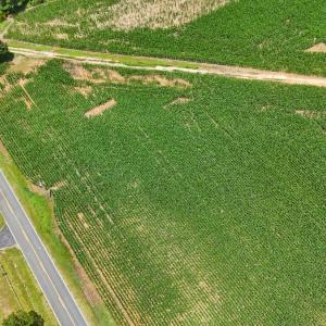 Photo #22 of 1.45 ac Off Titan Roberts Rd, Erwin, NC 1.5 acres