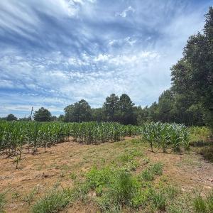 Photo #9 of 1.45 ac Off Titan Roberts Rd, Erwin, NC 1.5 acres