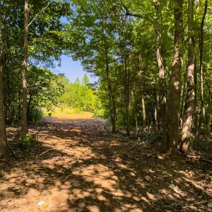 Photo #7 of Off of Park Springs Road, Ruffin, NC 49.4 acres