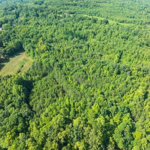 Photo #9 of Off of Park Springs Road, Ruffin, NC 49.4 acres