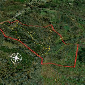 Photo #10 of Off of Park Springs Road, Ruffin, NC 49.4 acres