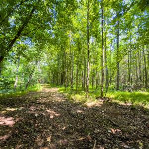 Photo #15 of Off of Park Springs Road, Ruffin, NC 49.4 acres