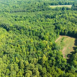 Photo #18 of Off of Park Springs Road, Ruffin, NC 49.4 acres