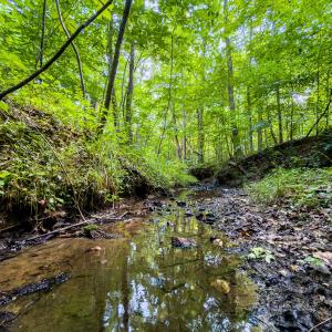 Photo #20 of Off of Park Springs Road, Ruffin, NC 49.4 acres