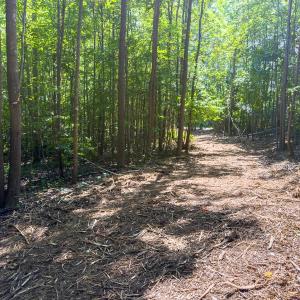 Photo #25 of Off of Park Springs Road, Ruffin, NC 49.4 acres