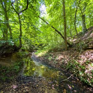 Photo #31 of Off of Park Springs Road, Ruffin, NC 49.4 acres