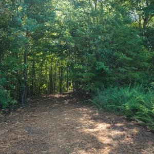 Photo #32 of Off of Park Springs Road, Ruffin, NC 49.4 acres
