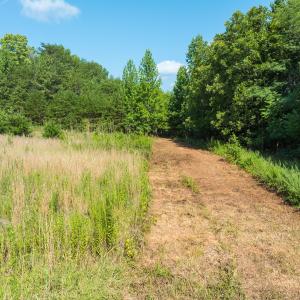 Photo #33 of Off of Park Springs Road, Ruffin, NC 49.4 acres