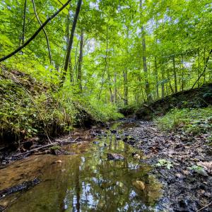 Photo #41 of Off of Park Springs Road, Ruffin, NC 49.4 acres