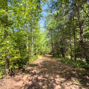 Photo #44 of Off of Park Springs Road, Ruffin, NC 49.4 acres