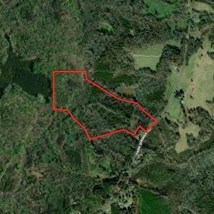 Photo #47 of Off of Park Springs Road, Ruffin, NC 49.4 acres