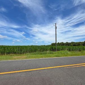 Photo #10 of 1.51 ac Off Titan Roberts Rd, Erwin, NC 1.5 acres