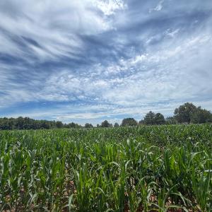Photo #13 of 1.51 ac Off Titan Roberts Rd, Erwin, NC 1.5 acres