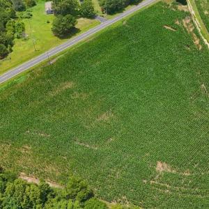 Photo #18 of 1.51 ac Off Titan Roberts Rd, Erwin, NC 1.5 acres
