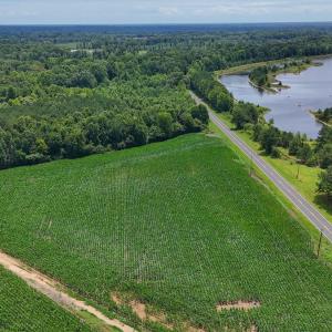 Photo #19 of 1.51 ac Off Titan Roberts Rd, Erwin, NC 1.5 acres