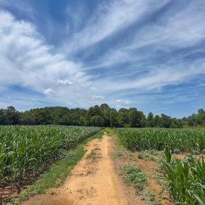 Photo #20 of 1.51 ac Off Titan Roberts Rd, Erwin, NC 1.5 acres