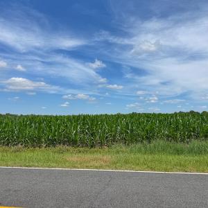 Photo #5 of 1.51 ac Off Titan Roberts Rd, Erwin, NC 1.5 acres