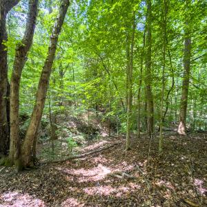 Photo #5 of Off of Park Springs Road, Ruffin, NC 14.7 acres