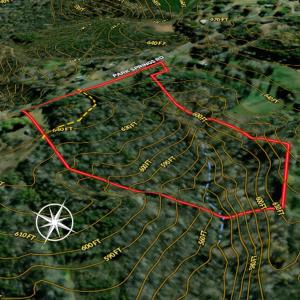 Photo #19 of Off of Park Springs Road, Ruffin, NC 14.7 acres