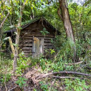 Photo #20 of Off of Park Springs Road, Ruffin, NC 14.7 acres