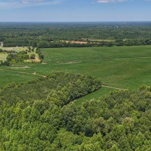 Photo #11 of 12 ac off Titan Roberts Rd, Erwin, NC 12.0 acres