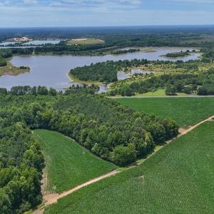 Photo #18 of 12 ac off Titan Roberts Rd, Erwin, NC 12.0 acres