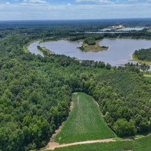 Photo #19 of 12 ac off Titan Roberts Rd, Erwin, NC 12.0 acres