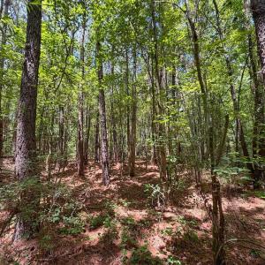 Photo #23 of 12 ac off Titan Roberts Rd, Erwin, NC 12.0 acres