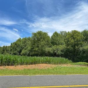 Photo #7 of 12 ac off Titan Roberts Rd, Erwin, NC 12.0 acres