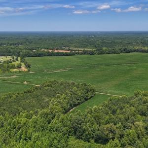 Photo #9 of 12 ac off Titan Roberts Rd, Erwin, NC 12.0 acres