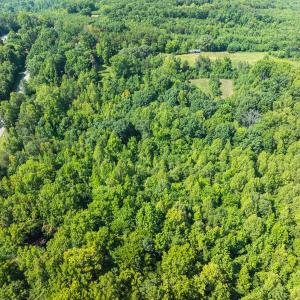 Photo #38 of Off of Park Springs Road, Ruffin, NC 14.7 acres
