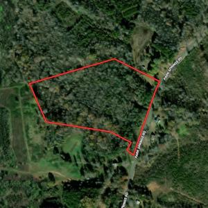 Photo #45 of Off of Park Springs Road, Ruffin, NC 14.7 acres