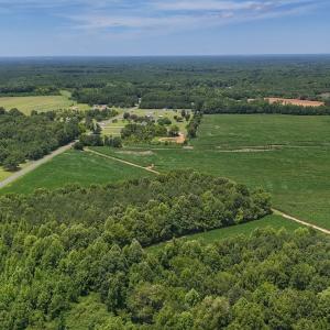 Photo #14 of 15 ac Off Titan Roberts Rd, Erwin, NC 15.0 acres