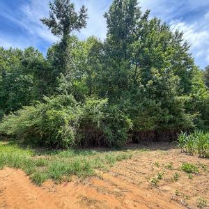 Photo #18 of 15 ac Off Titan Roberts Rd, Erwin, NC 15.0 acres