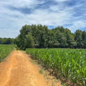 Photo #23 of 15 ac Off Titan Roberts Rd, Erwin, NC 15.0 acres