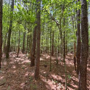 Photo #28 of 15 ac Off Titan Roberts Rd, Erwin, NC 15.0 acres
