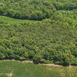 Photo #29 of 15 ac Off Titan Roberts Rd, Erwin, NC 15.0 acres