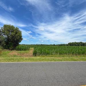 Photo #3 of 15 ac Off Titan Roberts Rd, Erwin, NC 15.0 acres