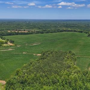 Photo #9 of 15 ac Off Titan Roberts Rd, Erwin, NC 15.0 acres