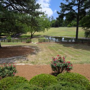 Photo #6 of 4205 MillPoint Dr., Wake Forest, NC 4.0 acres