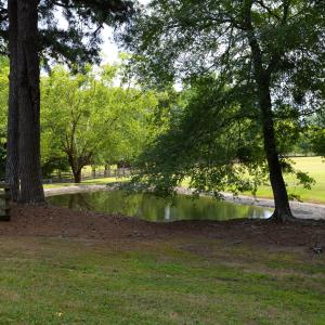 Photo #9 of 4205 MillPoint Dr., Wake Forest, NC 4.0 acres